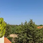 Marina-s'arena Scoada بوتزو ايدو