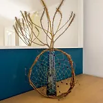 Marina-s'arena Scoada *